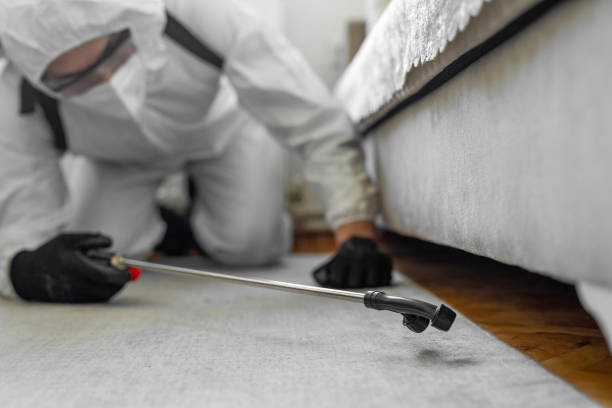 Professional Cockroach Control technician working in Fowler, CA