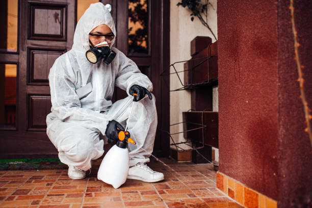Reliable Cockroach Control contractor in Fowler, CA by Nex Pest Control